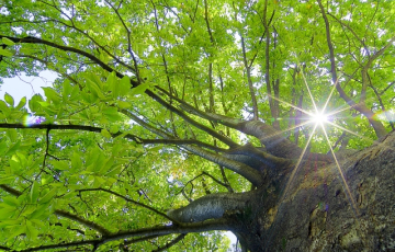 地域の自然環境保全